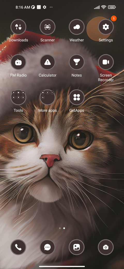 Cat screenshot