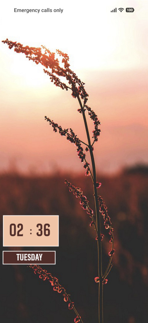 Nature screenshot