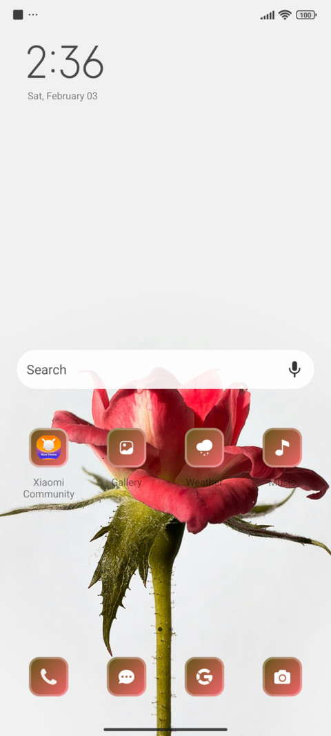Rose Bloom screenshot