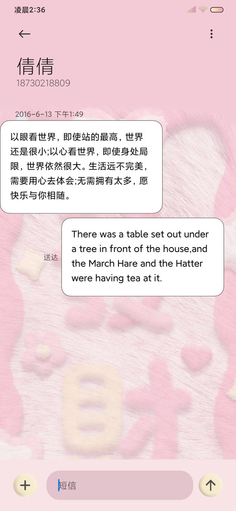 毛绒 公主请发财 screenshot
