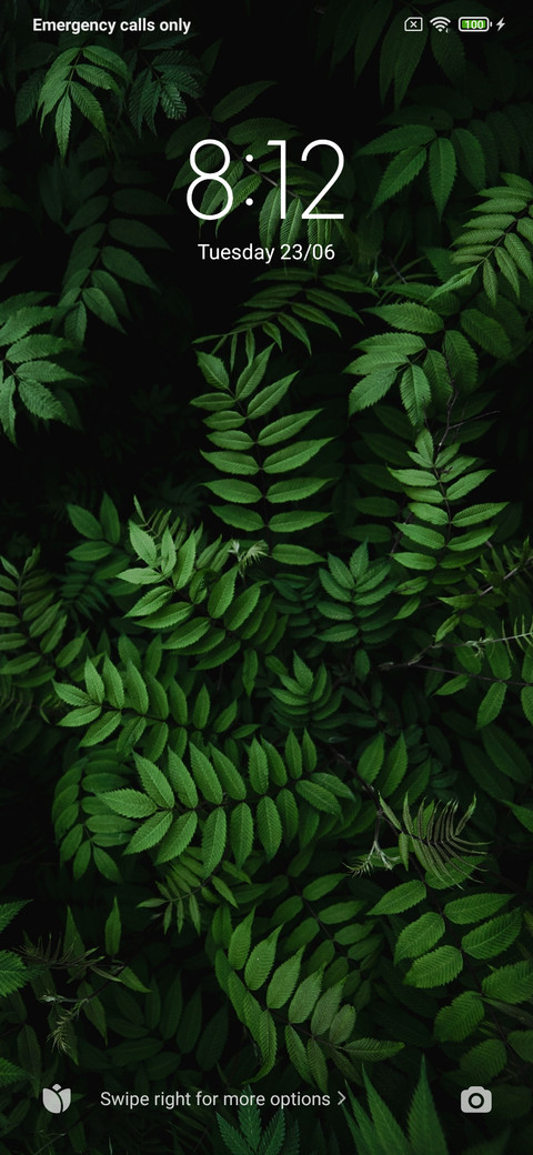 Green Leaf screenshot