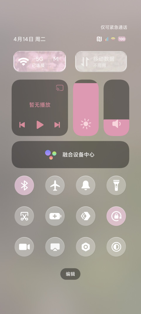 春风有信花开有期 screenshot