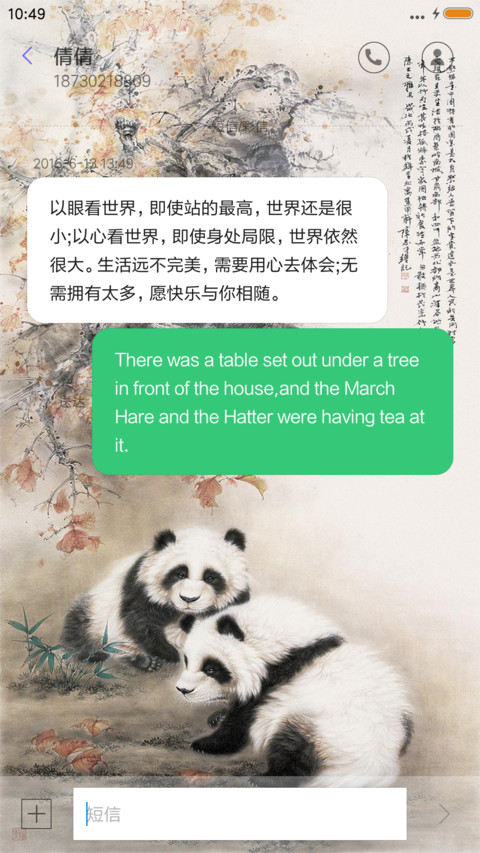 国宝熊猫 screenshot