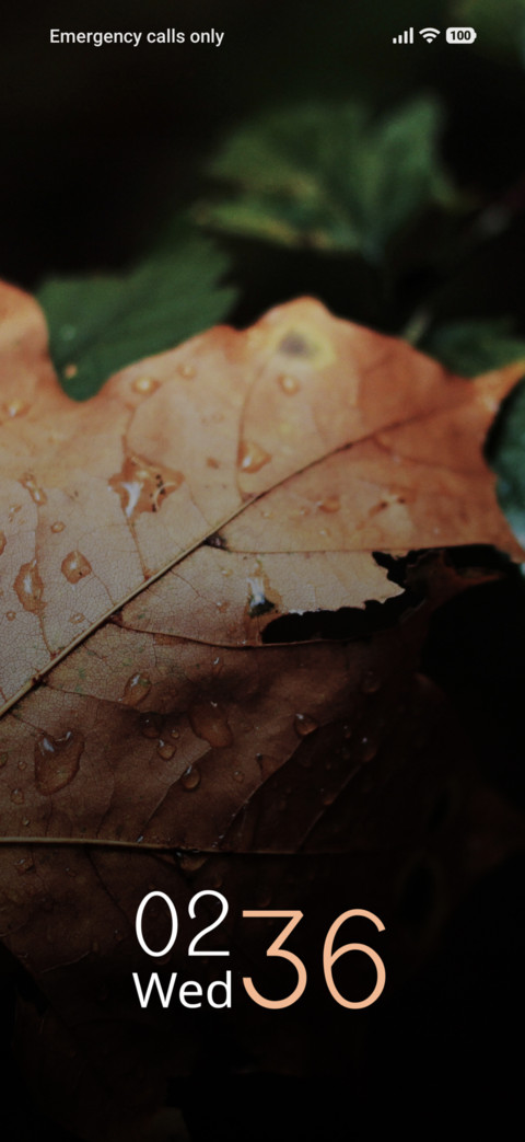 Maple Drizzle screenshot