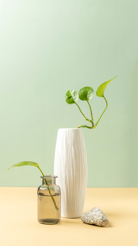 Green Pineapple Flower Arrangement screenshot