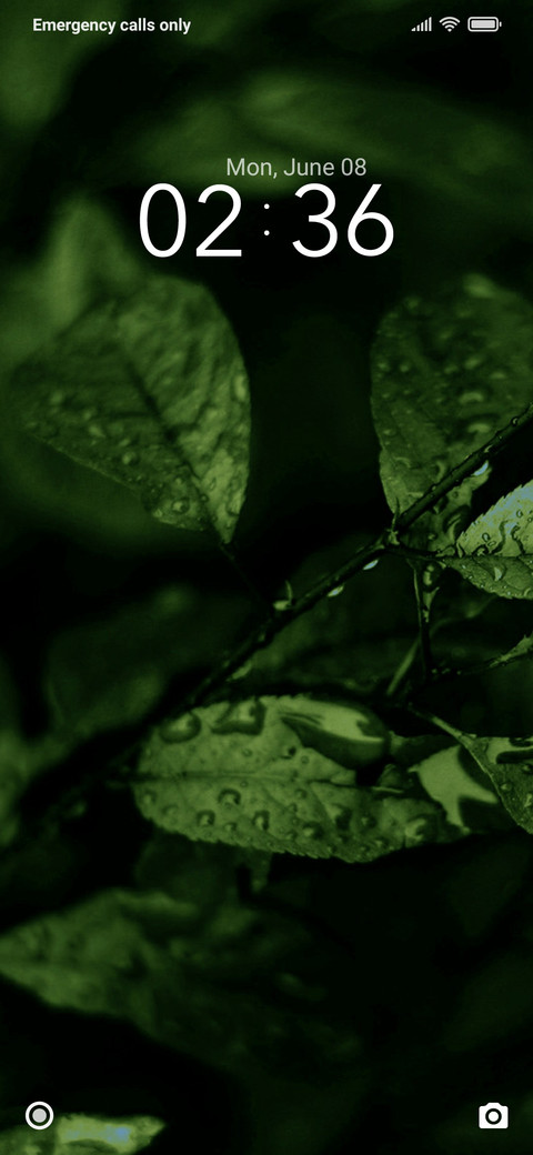 FALGUN screenshot
