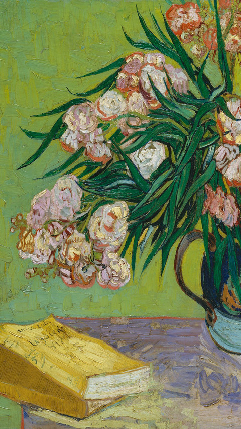 Oleanders, by Vincent Van Gogh, Dutch Post-impressionist screenshot