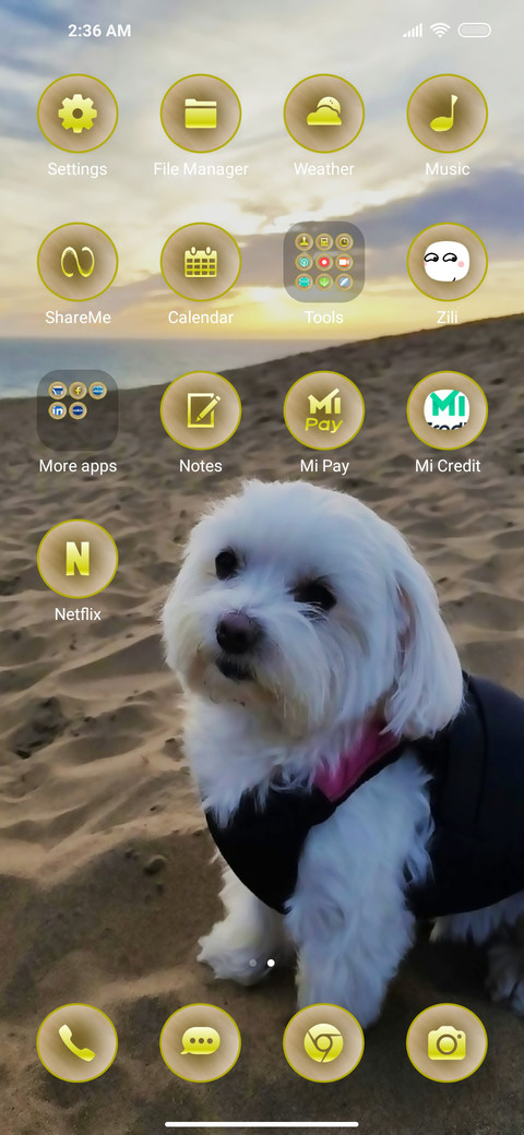 Cute Pup Fi screenshot