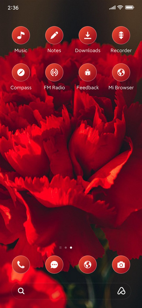 Carnations screenshot