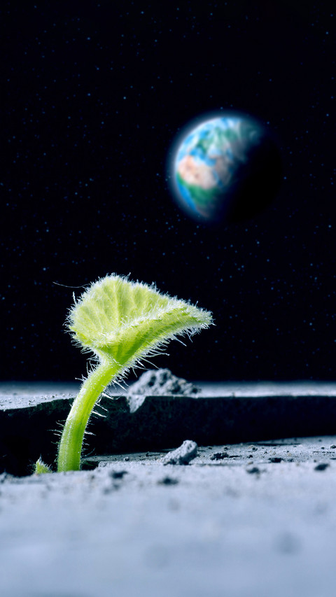 How Plants Grow on the Moon 7 screenshot