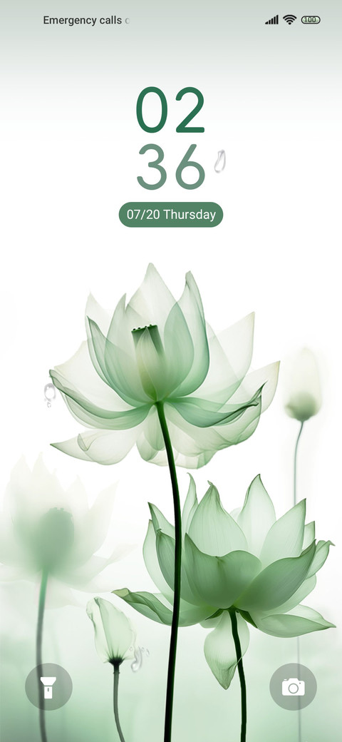 Green lotus leaves screenshot