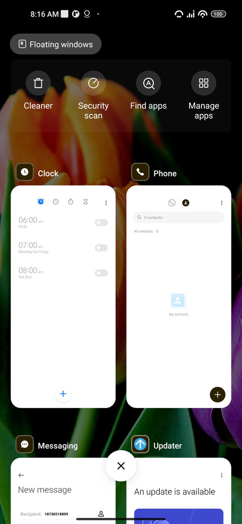 Tulips screenshot