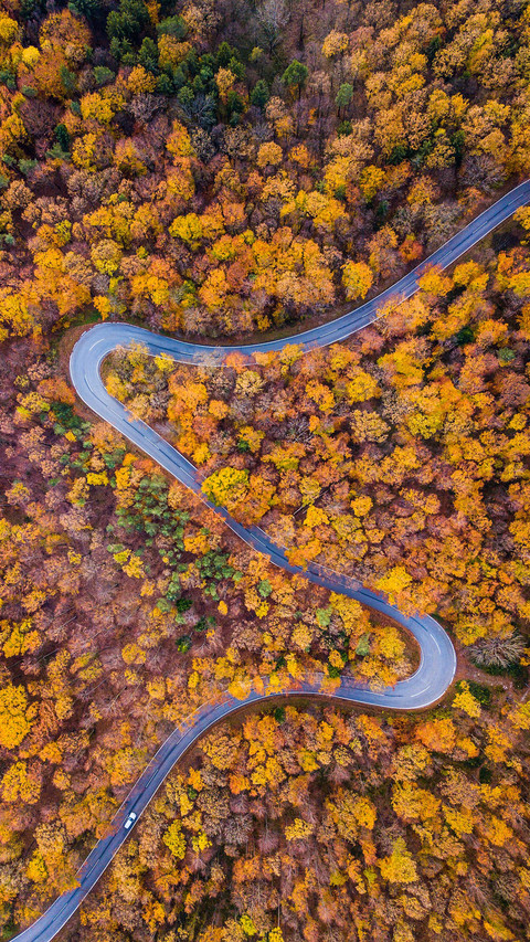 The most recommended self driving route in autumn 05 screenshot