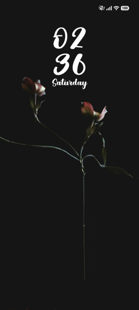 Flowers screenshot