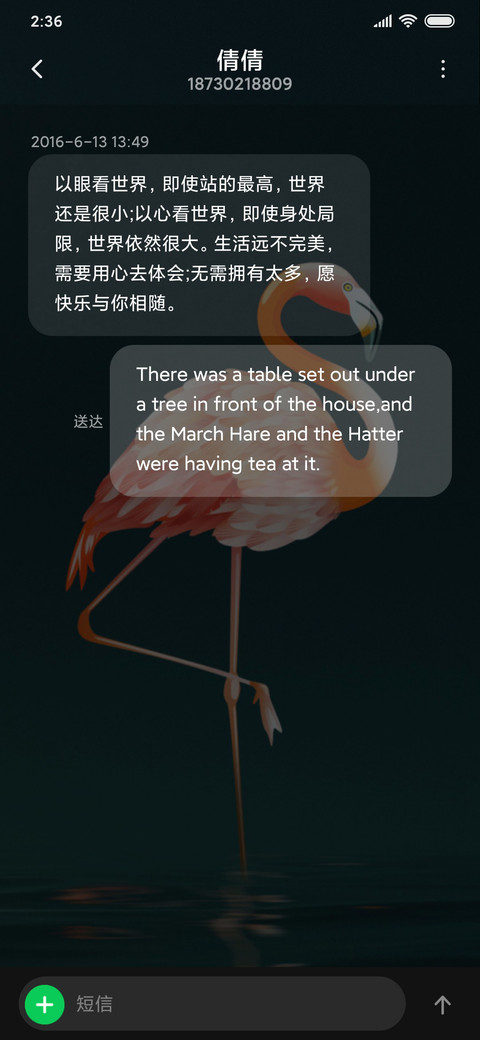 最美火烈鸟 screenshot