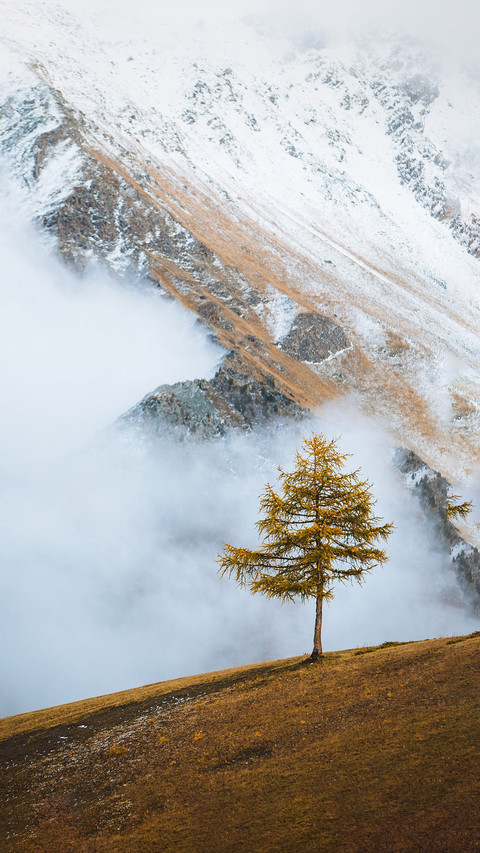 How much do you know about fog screenshot