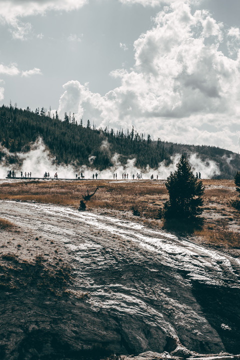 Editor's Choice screenshot