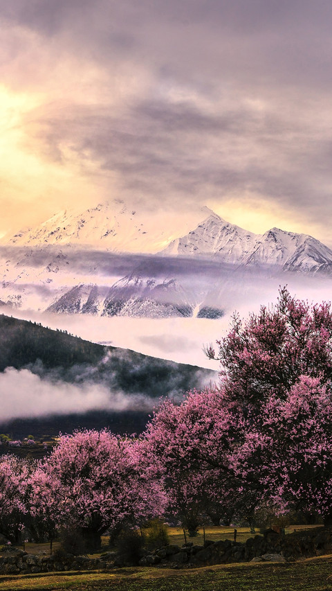 The most beautiful spring in China 97 screenshot