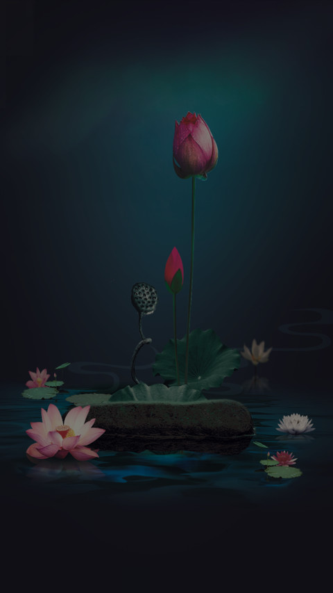 护眼荷花 screenshot