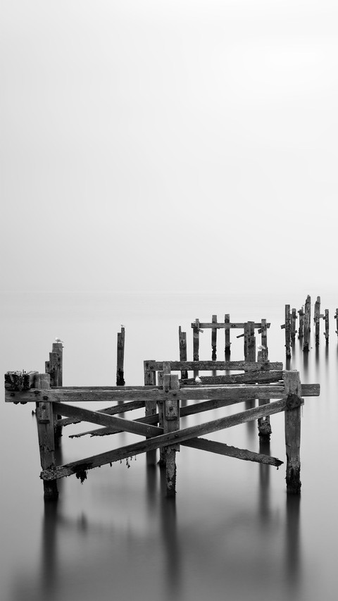 Black and White Photography Art screenshot
