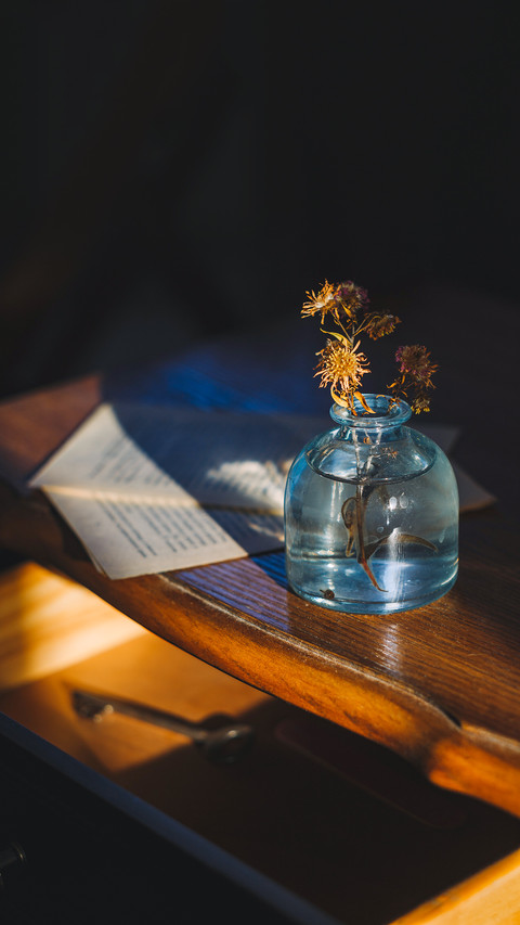 A glass vase with dry flowers screenshot