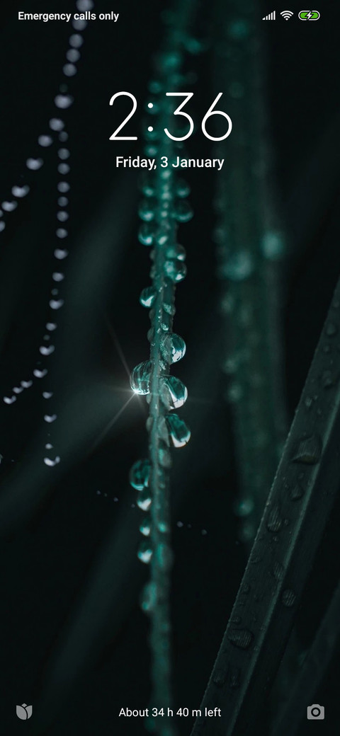 Dew Drop screenshot