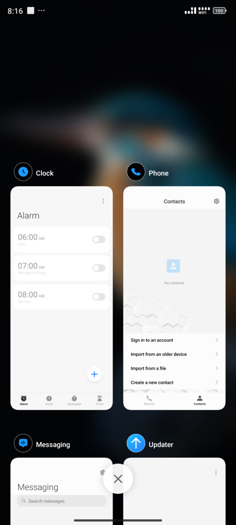 Brown Bird screenshot