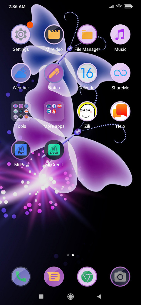 Butterly_DWM19 screenshot