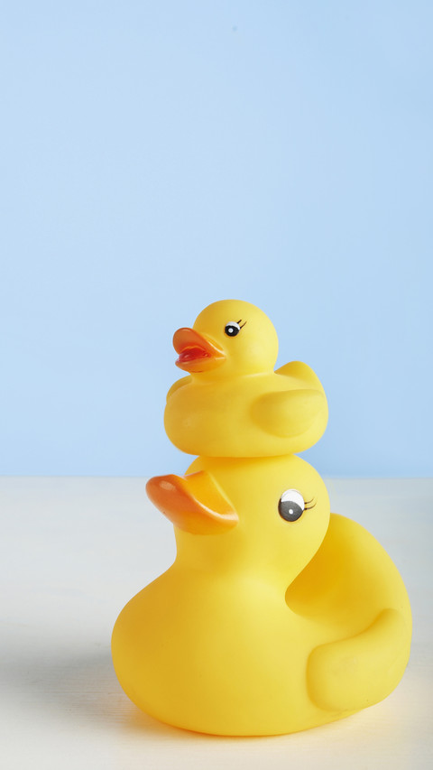 萌萌的小黄鸭 screenshot