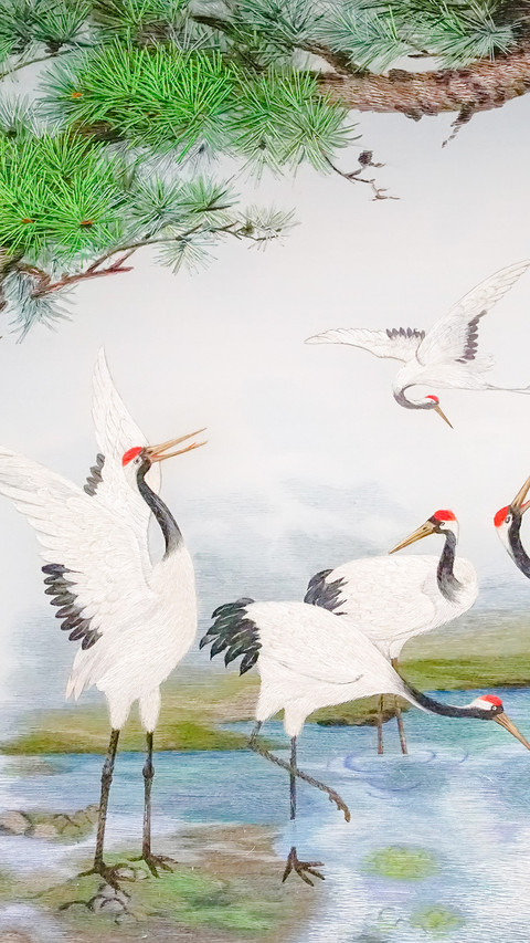 重阳节 screenshot