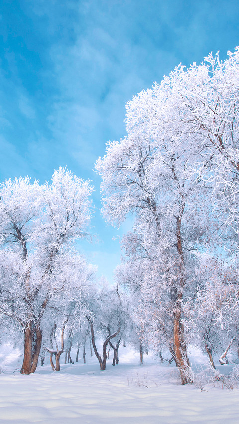 大雪 screenshot
