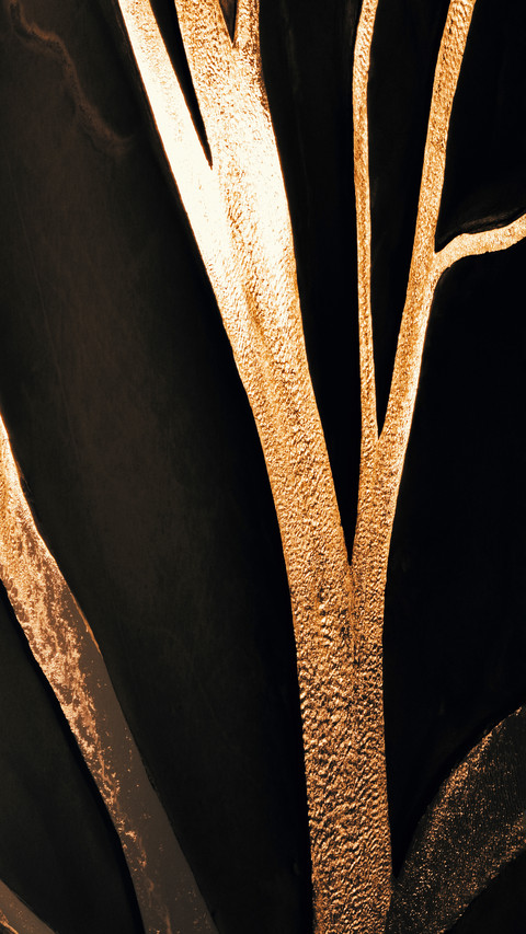 Capture the gilded tidal flats in the frame 2 screenshot