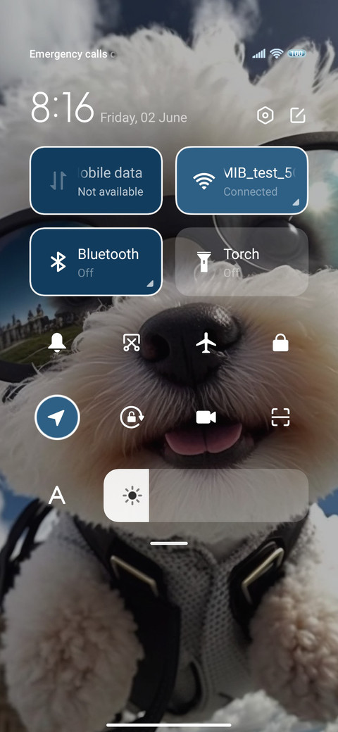 Puppy is an pilot screenshot