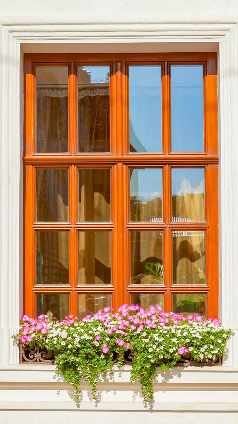 The flowers on the windowsill screenshot