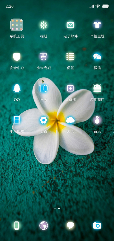 无叶花 screenshot