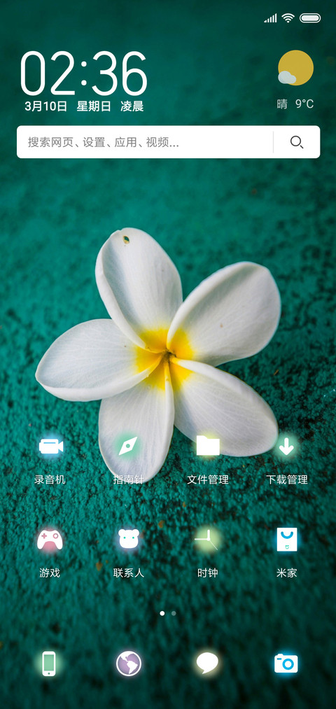 无叶花 screenshot
