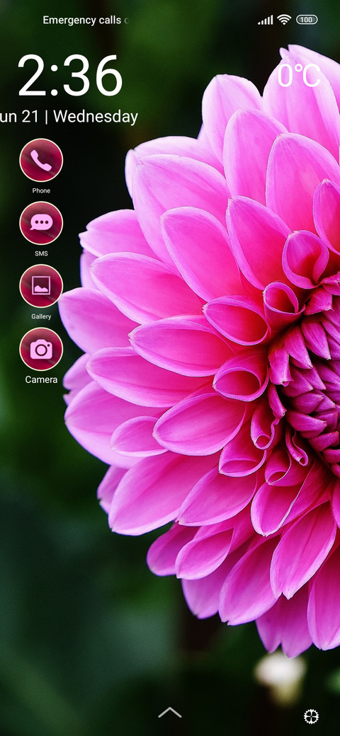 flowers dahlia screenshot