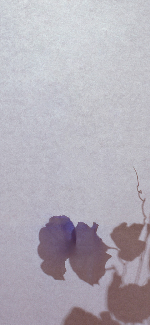 立夏风物诗 screenshot