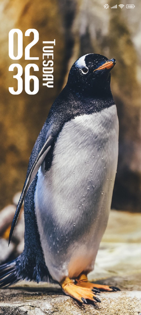 Penguin screenshot