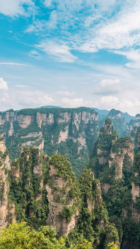 Opening of some scenic spots in Zhangjiajie 83 screenshot