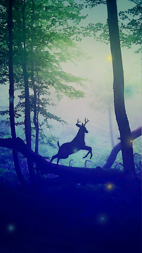 静谧深林 screenshot