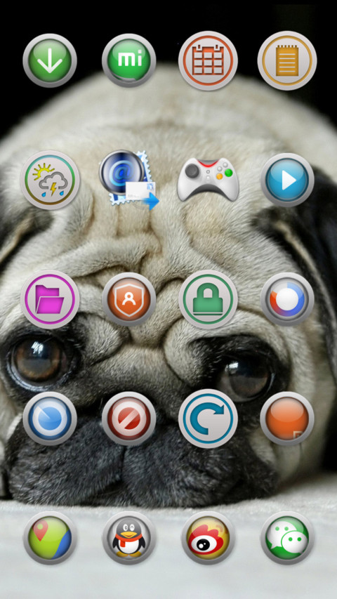 cute_ugly_pug screenshot