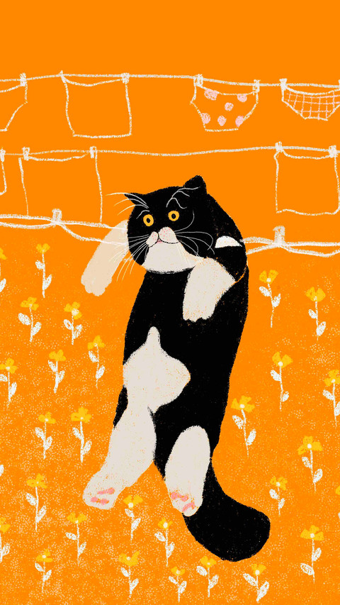 Funny cat with fancy, colorful sunglasses screenshot