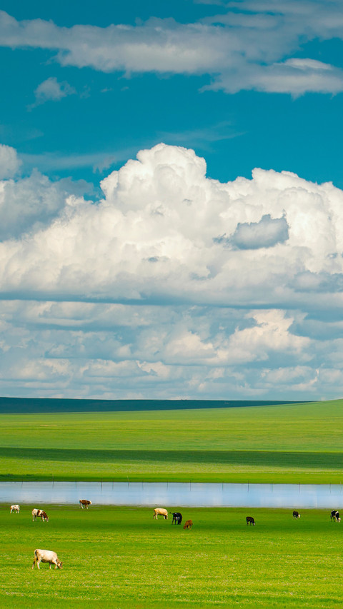 A cloud weighs 80 elephants screenshot