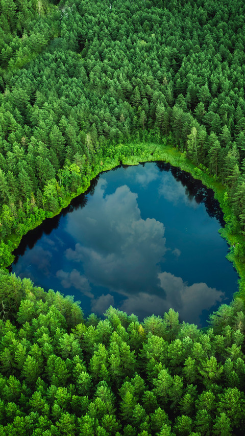 Forest-Framed Lake, A Scene of Pure Nature screenshot