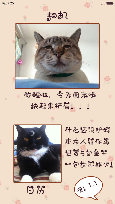 喵星人一直看着你(全图标&自由桌面) screenshot