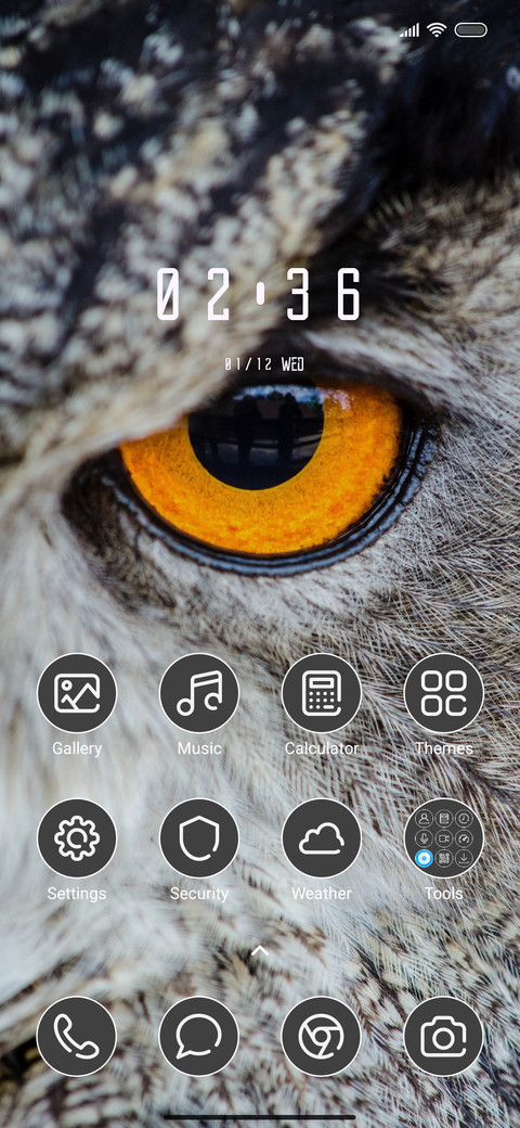 Owl screenshot