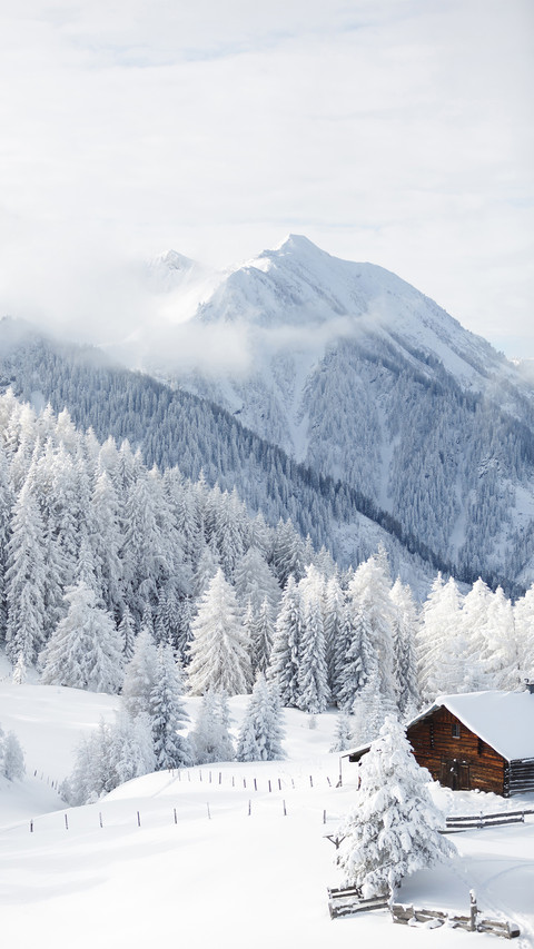 Winter Wonderland in Austrian Alps screenshot