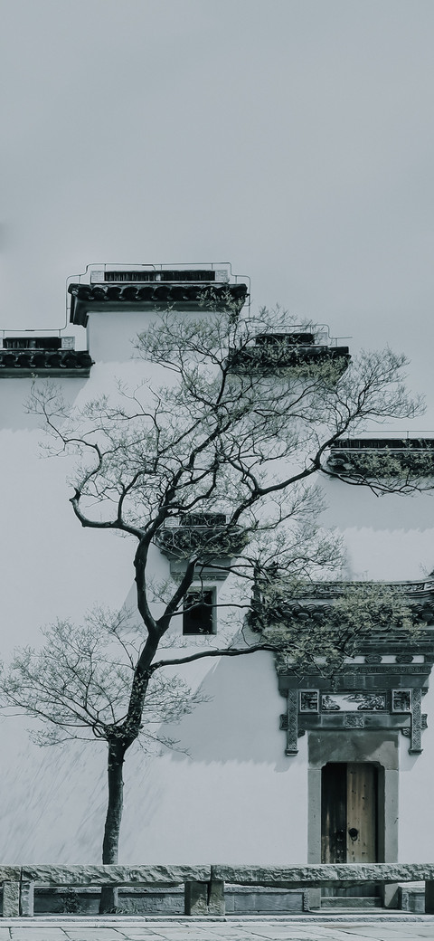 清雅之韵 screenshot
