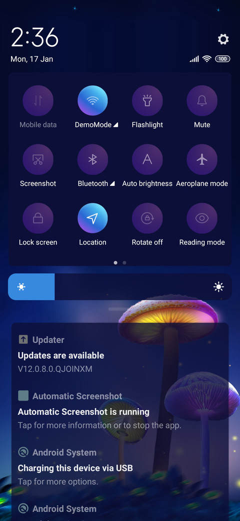 The mushroom screenshot